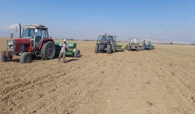 KKTC'de sertifikalı tohum krizi! Tarım Bakanının danışmanları şirket kurdu tohum satışı tekelleştirildi!