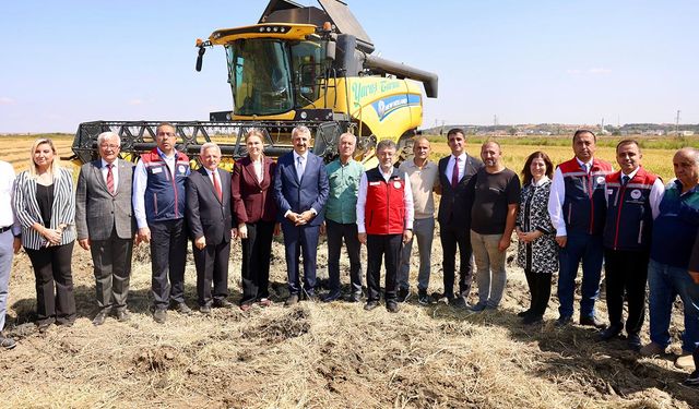 Bakan Yumaklı çeltik fiyatını açıklamadı, gözler TMO’nun adımında