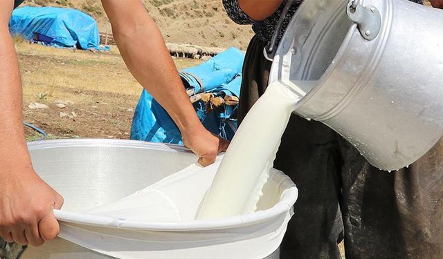 Ulusal Süt Konseyi açıkladı: Ağustos çiğ süt maliyeti litre başına 16,80 TL’ye yükseldi