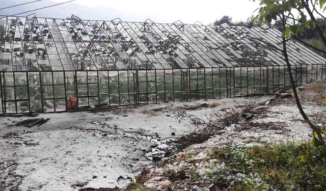 Bereket Sigorta çiftçiye 9 ayda 1,9 milyar lira hasar ödemesi yaptı