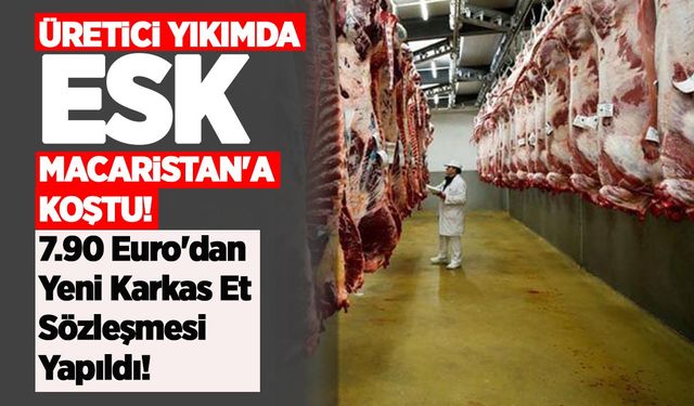 ESK durmuyor: İtalya, Polonya, Fransa yetmedi, şimdi de Macaristan'la et ithalatı sözleşmesi!
