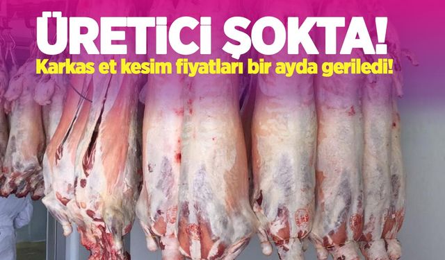 Üreticiye şok: Karkas et kesim fiyatları bir ayda geriledi!