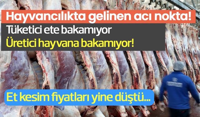 Karkas Et Fiyatları