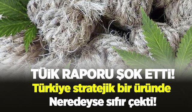 TÜİK raporu şok etti: Türkiye stratejik bir üründe neredeyse sıfır çekti!
