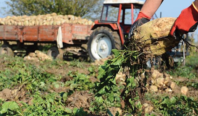 Eskişehir Pancar Ekicileri Kooperatifi: Çaya yüzde 34, fındığa yüzde 50, pancara yüzde 25 zam haksızlık