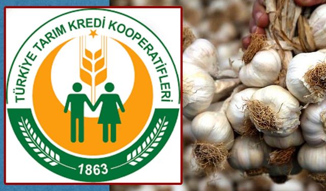 Çiftçinin kurumu ithal sarımsağa aracı oldu: Tarım Kredi’den şaşırtan açıklama