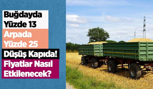 Buğdayda yüzde 13, arpada yüzde 25 düşüş kapıda! Fiyatlar nasıl etkilenecek?