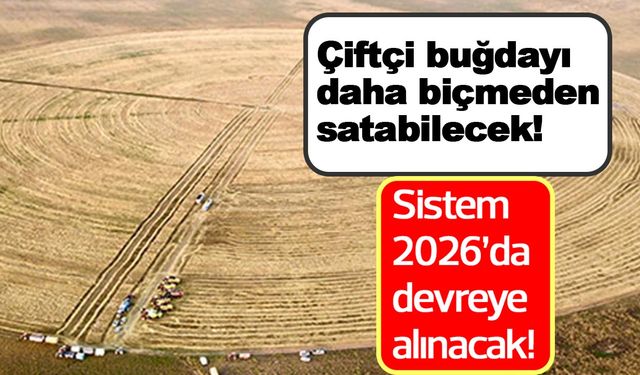 Çiftçi buğdayı daha biçmeden satabilecek! Vadeli işlem piyasası nedir?