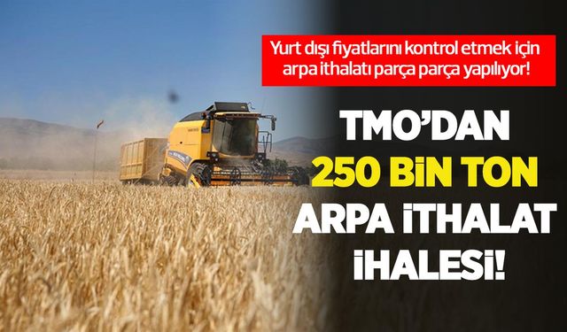 Arpa'da yüzde 30'luk kayıp: TMO, fiyatları kontrol için arpa ithalatını parça parça yapıyor!