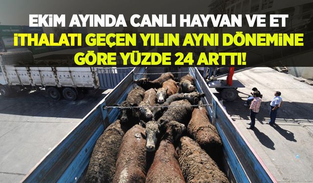Tarım, ormancılık ve balıkçılıkta Ekim verileri: Canlı hayvan ve et ithalatı yüzde 24 arttı