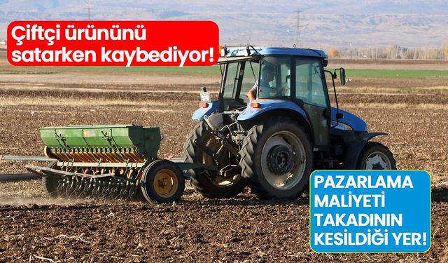 Çiftçi ürününü satarken kaybediyor: Pazarlama maliyeti ‘takadının kesildiği’ yer!