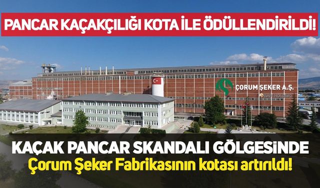 Kaçak pancar skandalı gölgesinde Çorum Şeker’in kotası artırıldı