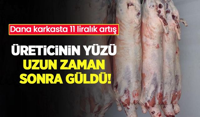 Üreticinin yüzü uzun zaman sonra güldü: Dana karkasta 11 liralık artış