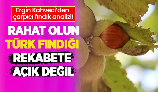 Ergin Kahveci: Rahat olun Türk fındığı rekabete açık değil!