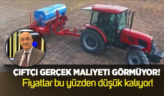 Çiftçi gerçek maliyeti görmüyor: Fiyatlar bu yüzden düşük kalıyor