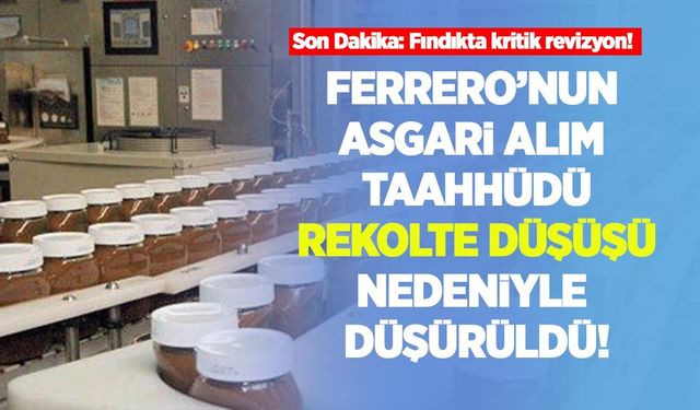Son Dakika: Fındıkta kritik revizyon! Ferrero'nun asgari alım taahhüdü rekolte düşüşü nedeniyle düşürüldü!
