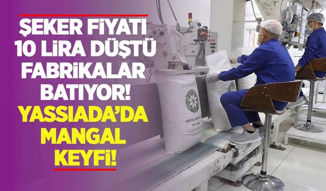 Şeker fiyatı 10 lira düştü, fabrikalar batıyor, Yassıada’da mangal keyfi!