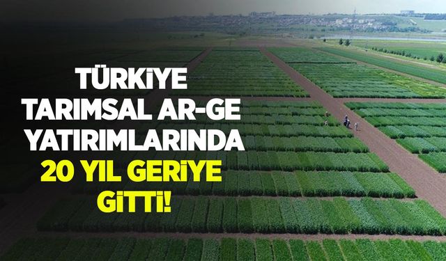 Türkiye tarımsal AR-GE yatırımlarında 20 yıl geriye gitti