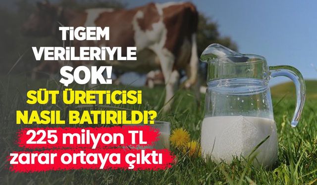 TİGEM verileriyle şok: Süt üreticisi nasıl batırıldı? 225 milyon TL zarar ortaya çıktı