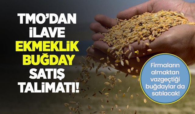 TMO'dan sektöre ek buğday satış talimatı: Firmaların almaktan vazgeçtiği buğdaylar da satılacak