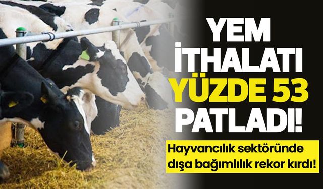 Yem ithalatı yüzde 53 patladı! Hayvancılık sektöründe dışa bağımlılık rekor kırdı!