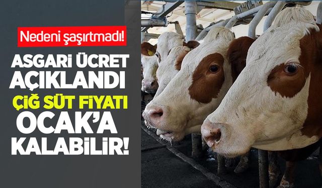 Asgari ücret açıklandı çiğ süt Ocak'a kalabilir! Nedeni şaşırtmadı!