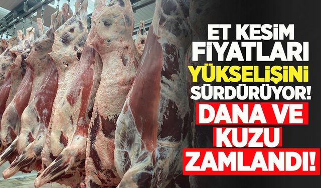 Et kesim fiyatları yükselişini sürdürüyor: Dana ve kuzu yine zamlandı