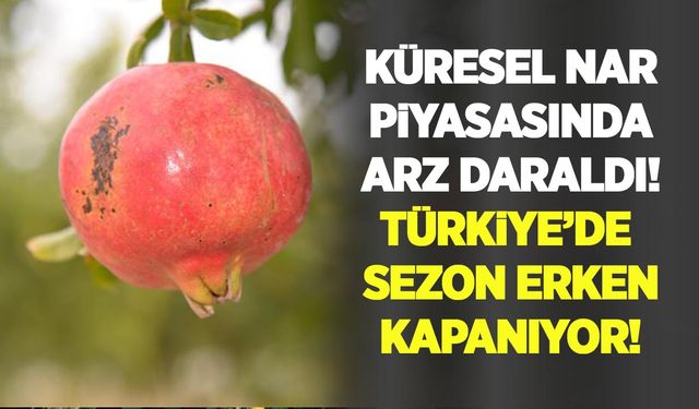 Küresel nar piyasasında arz daraldı, Türkiye’de sezon erken kapanıyor