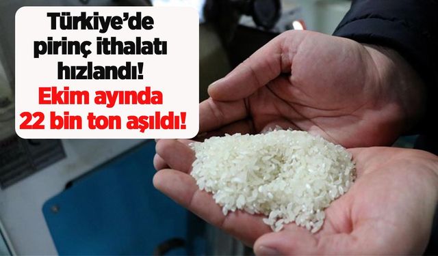 Türkiye’de pirinç ithalatı hızlandı: Ekim ayında 22 bin ton aşıldı