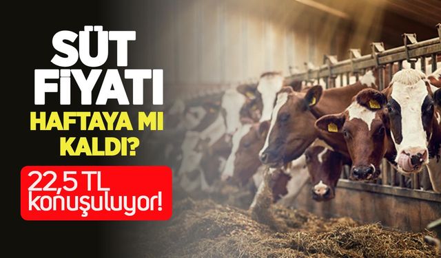 Süt fiyatı haftaya mı kaldı? 22,5 TL konuşuluyor