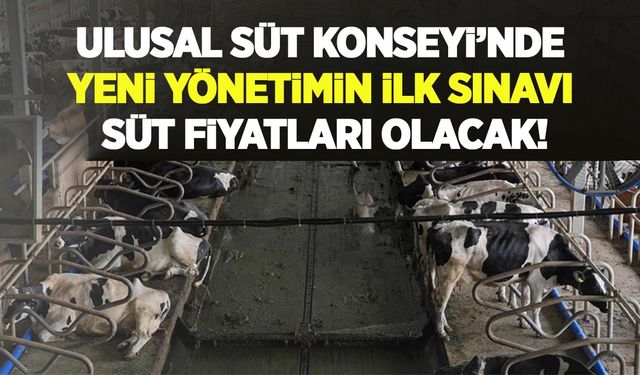 Ulusal Süt Konseyi’nde yeni yönetim, ilk sınav süt fiyatı olacak