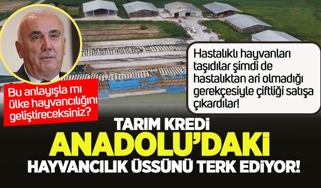 Tarım Kredi hayvancılıkta Anadolu’dan çekiliyor!