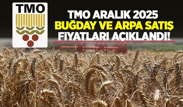 TMO Aralık 2025 buğday ve arpa satış fiyatları açıklandı