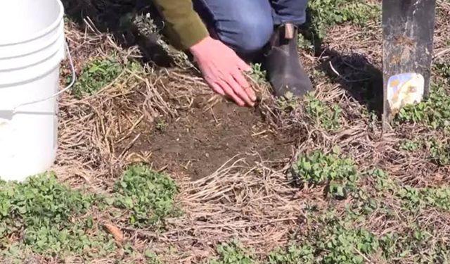 Toprak analizi nasıl alınır ve ücreti nedir? İl müdürlüğü açıkladı