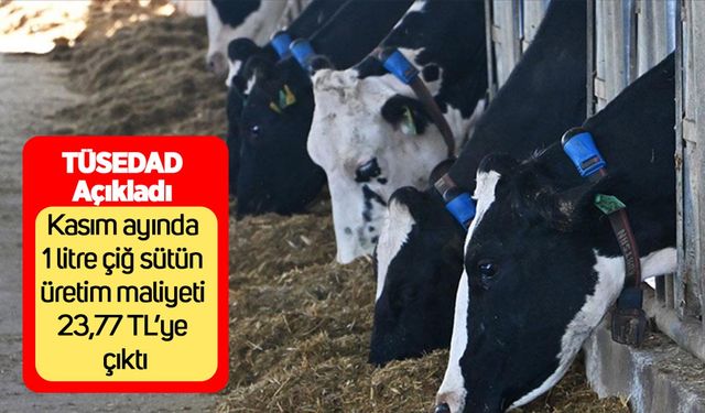TÜSEDAD açıkladı: Kasım ayında 1 litre çiğ sütün üretim maliyeti 23,77 TL’ye çıktı