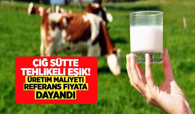 Çiğ sütte tehlikeli eşik: Üretim maliyeti referans fiyata dayandı
