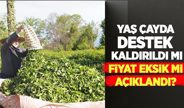 Yaş çayda destek kaldırıldı mı, fiyat eksik mi açıklandı?