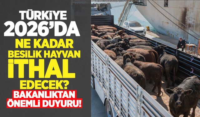 Türkiye 2026’da ne kadar besilik hayvan ithal edecek? Bakanlıktan önemli duyuru