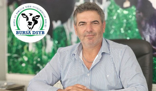 Bursa DSYB’den üreticiye 1400 liralık buzağı desteği