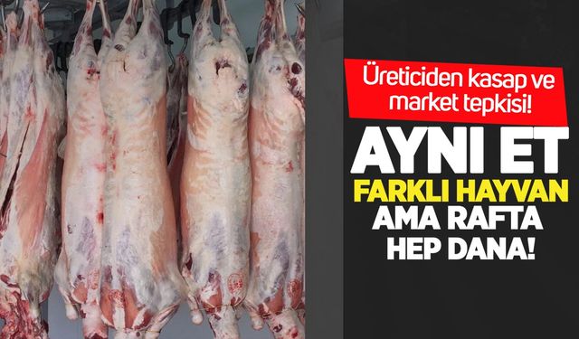 Üreticiden kasap ve market tepkisi: Aynı et, farklı hayvan ama rafta hep dana!