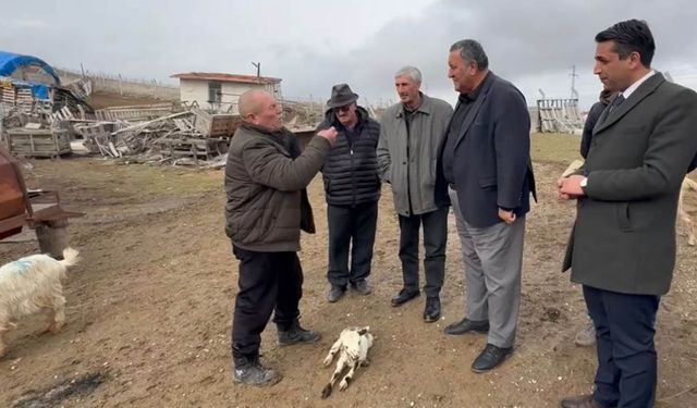 50 bin baştan 2 bin 500’e: Bir köyde hayvancılığın çöküşü