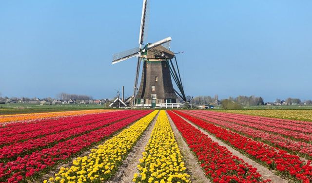 Hollanda tarımda ithalatla büyüyor: Kahveci’den ezber bozan ticaret analizi