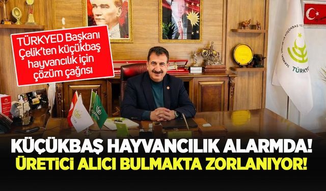 Küçükbaş hayvancılık alarmda: Üretici alıcı bulmakta zorlanıyor
