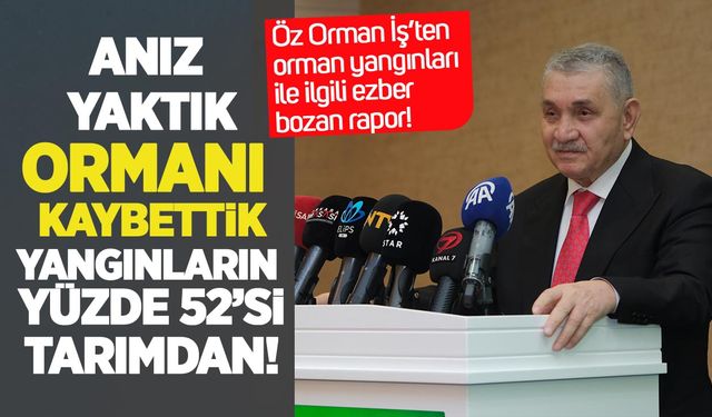 Öz Orman-İş’ten orman yangınları ile ilgili ezber bozan rapor: Yangınların yüzde 52’si tarımsal faaliyetlerden çıktı!