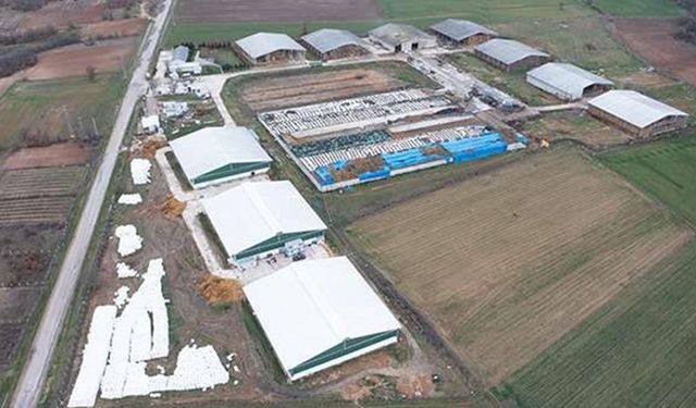 Tarım Kredi Hayvancılık’tan “Boğazlıyan tesisi” açıklaması: Arilik belgesi geçerlidir