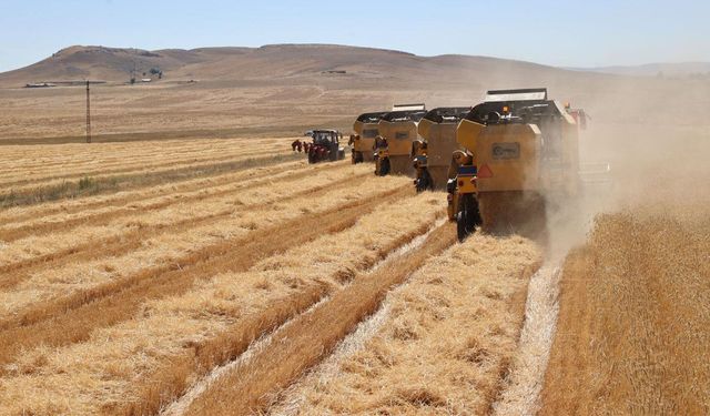 Konya’da 2025 yılı destek icmalleri askıya çıktı