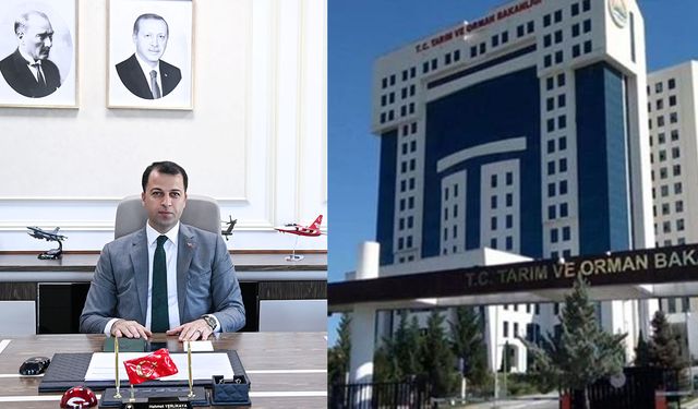 Strateji Başkanlığı’nda vekil değişti: Erkan Tek gitti, Göktuğ Bağlı göreve başladı