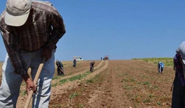 Çiftçi artık ulaşamayacak: Tarım Kredi'nin faaliyet raporları kaldırıldı