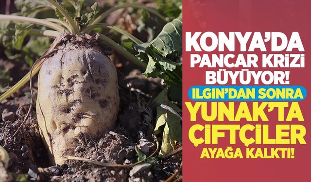 Konya’da pancar krizi büyüyor: Ilgın’dan sonra Yunak’ta çiftçiler ayağa kalktı