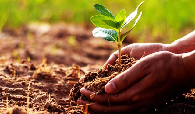 Organik tarım ve iyi tarım destek başvuruları için süre uzatıldı